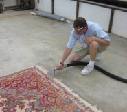 In Plant Rug Cleaning 18