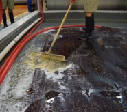 In-Plant Carpet Cleaning For Urine Removal