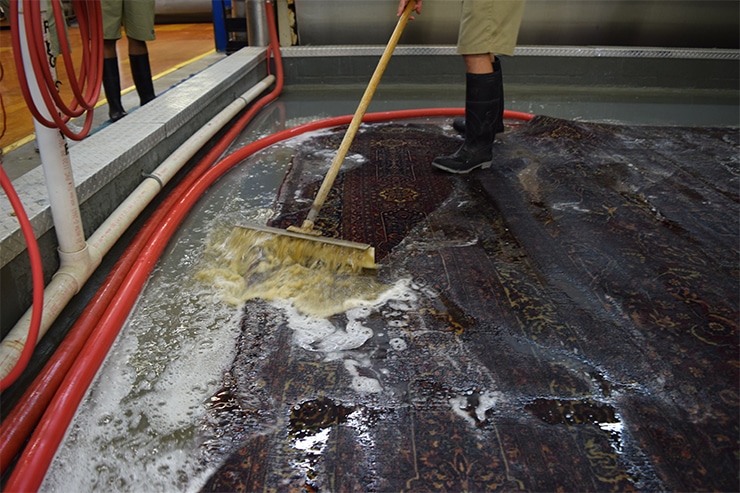 In-Plant Carpet Cleaning for Urine Removal