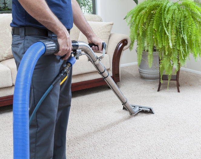 Carpet Cleaning Services in Pembroke Pines