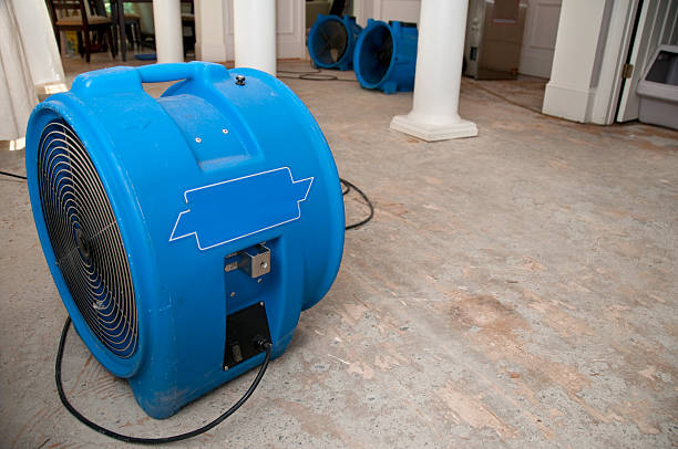 "This is the sewage water damage recovery process in a residential home. The flooring is ripped off, and the rooms are sprayed with biowash. Industrial fans and dehumidifiers is placed in the room for the drying and restoration process. The process will last 3 days.This is done to prevent mold and germs grow underneath the floor, rendering the home toxic."